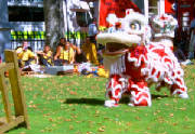 nationalliondancefestival.jpg